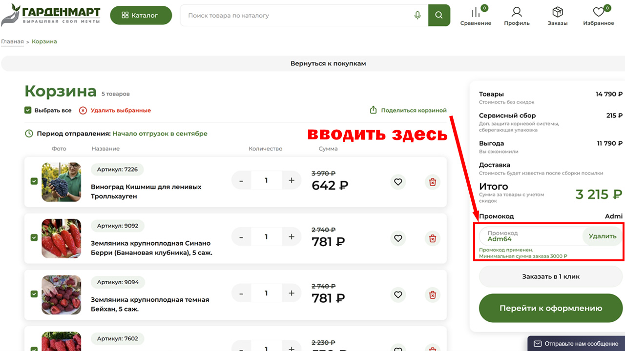 Страница оформления заказа Гарденмарт — поле ввода промокода