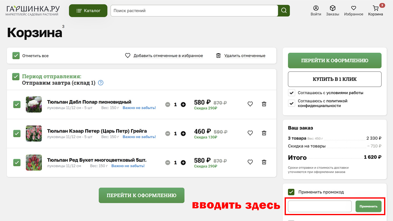Страница оформления заказа Гаршинка — поле ввода промокода